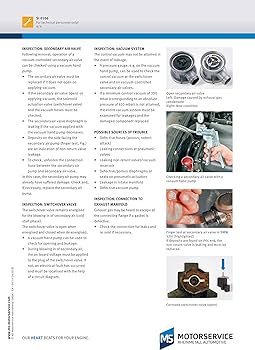 Amazon.com: Pierburg Secondary Air Pump Electrical 12 V